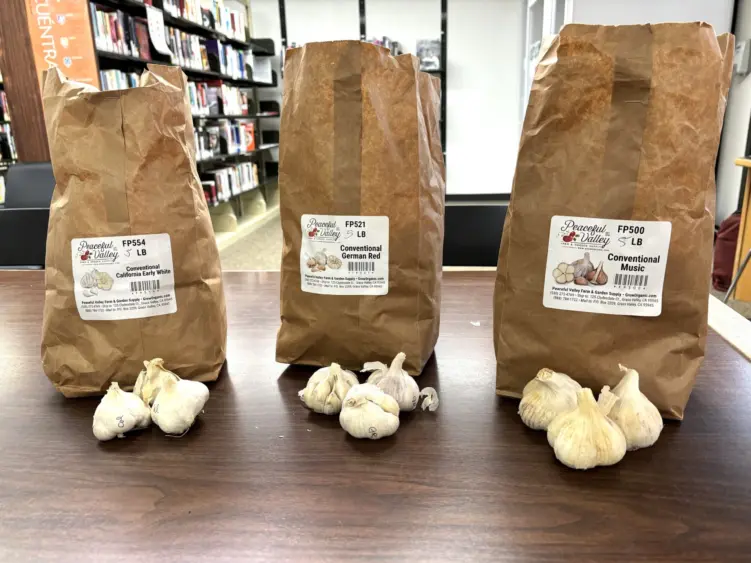 bcn-20251029-librarygarlic-01-scaled177130