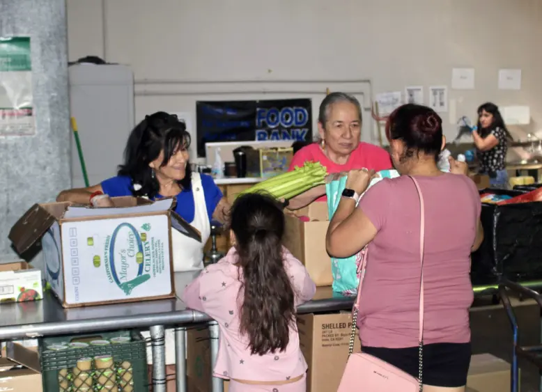 bcn-20250903-freeandfresh-02824179