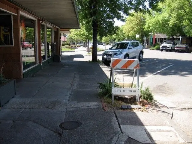 tmv-20251112-ukiahtrees-01400889