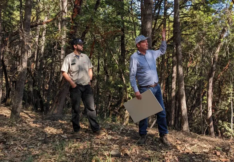 bcn-20251114-lowgapforest-03-1440703615