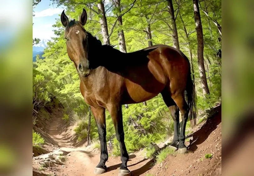 tmv-20251118-easyday817256