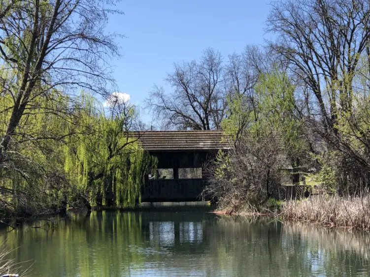 bcn-20210325-eastforkrussian-01-scaled8240