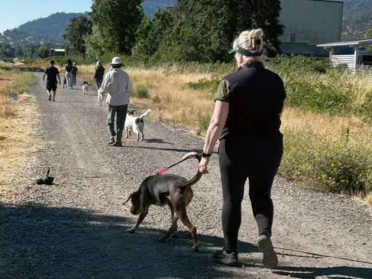 bcn-20251120-packwalk-02-edited251257