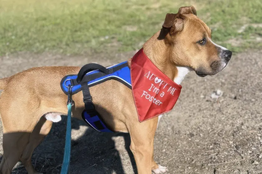 bcn-20251120-packwalk-02-1-scaled448190