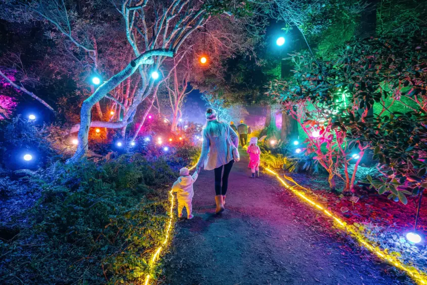 bcn-20241120-festivaloflights-12-1-scaled18500