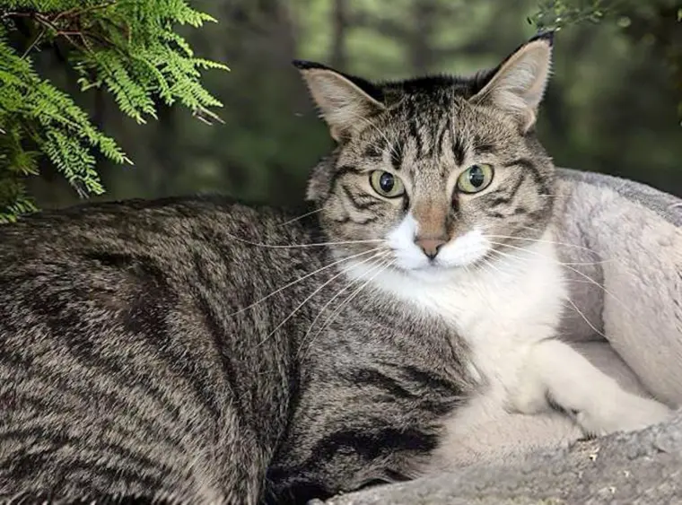 bcn-20251130-rowdy-01-scaled441582