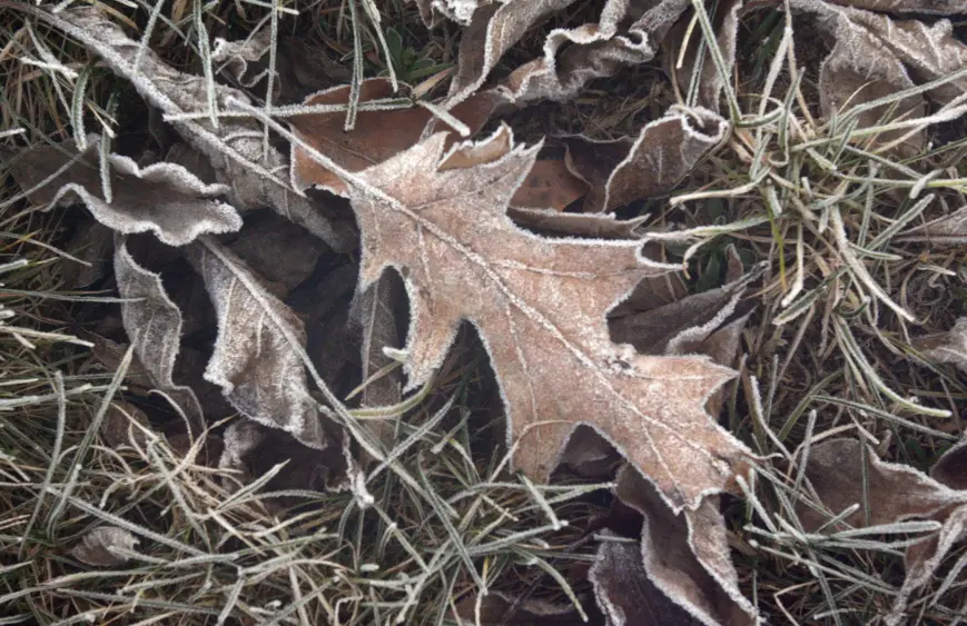 ap11112502003-scaled260127