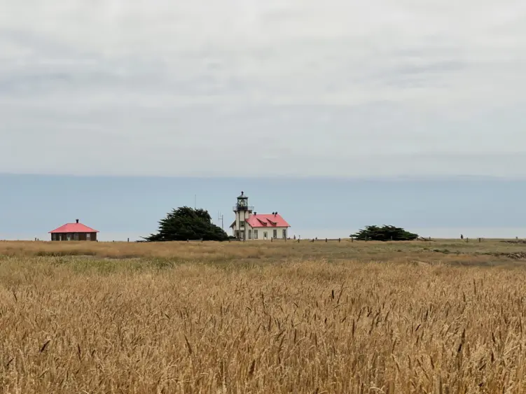 bcn-20240618-mendocino-01-scaled570198