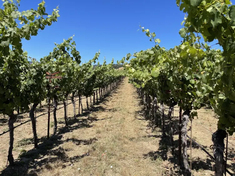 52277699901_91e288a01a_k939143