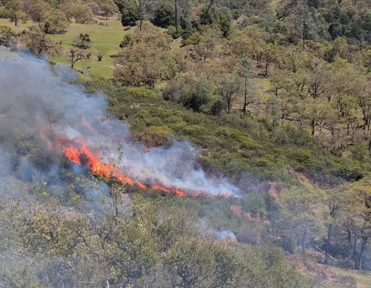 bcn-20250417-shamrockranch-01-scaled175784
