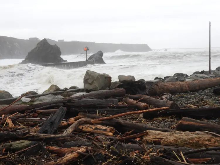 bestpileofwood-scaled743584