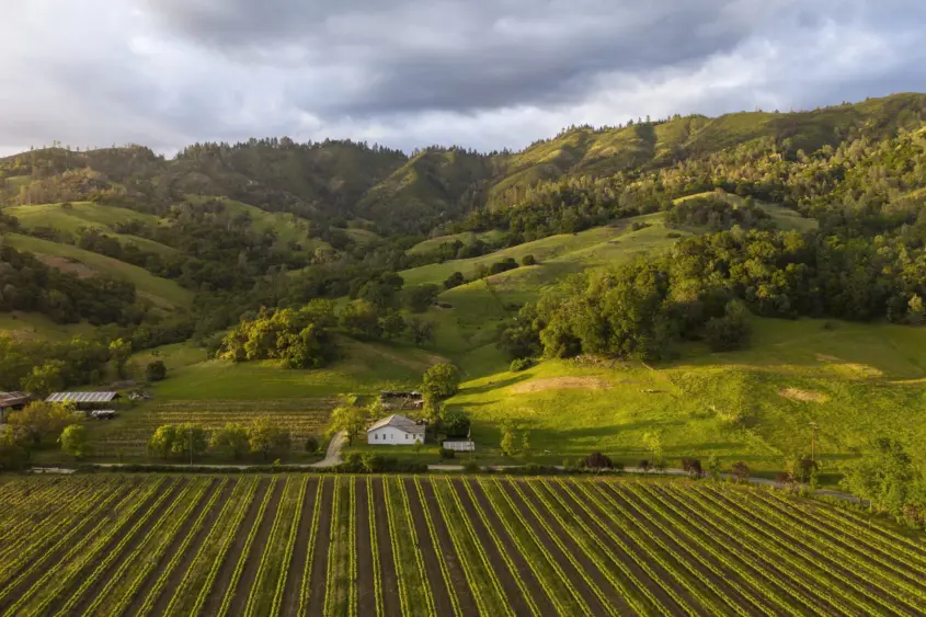 bcn-20251215-mcfadden-02-1-scaled255004