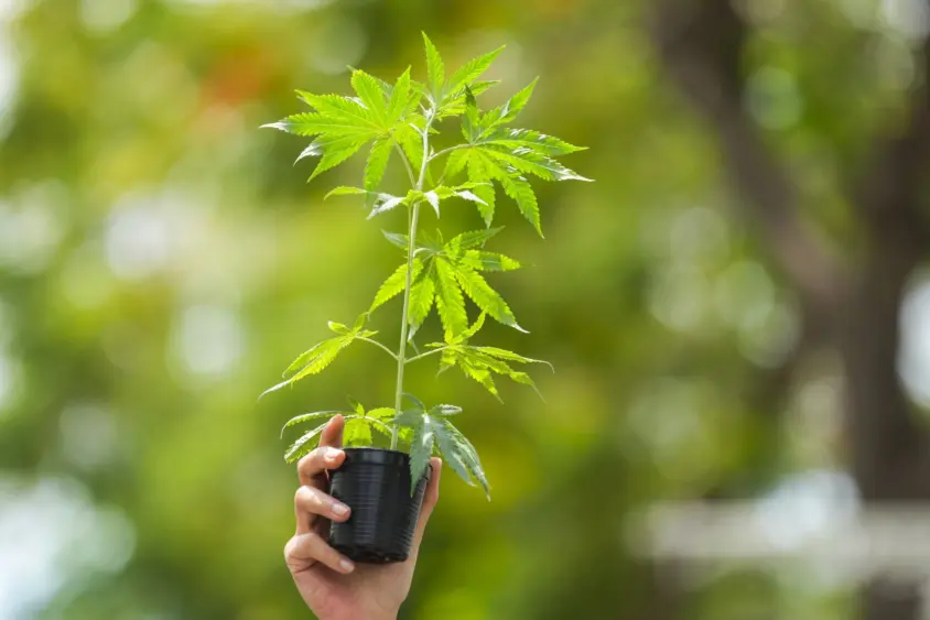 ap24190308367112-scaled976717