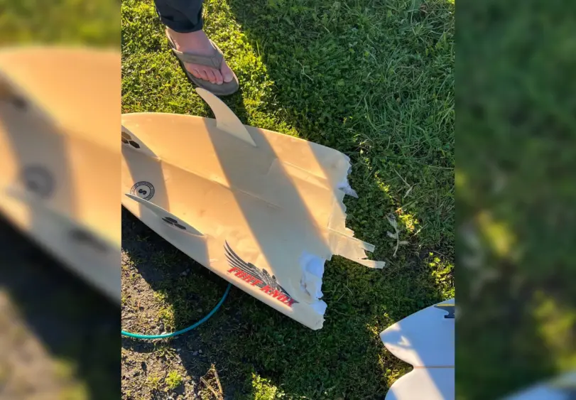 bcn-20260113-sharksurfer-01-1440-scaled998634