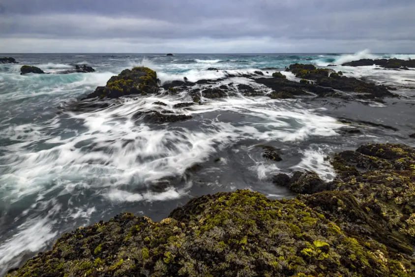 bcn-20251224-mackerricherstatepark-01-scaled175976