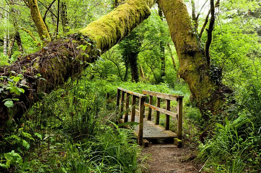 bcn-20260116-vandammesp-01-scaled879612