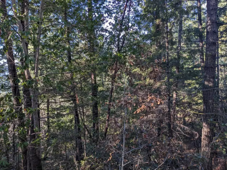 bcn-20251211-sod-01-scaled945891