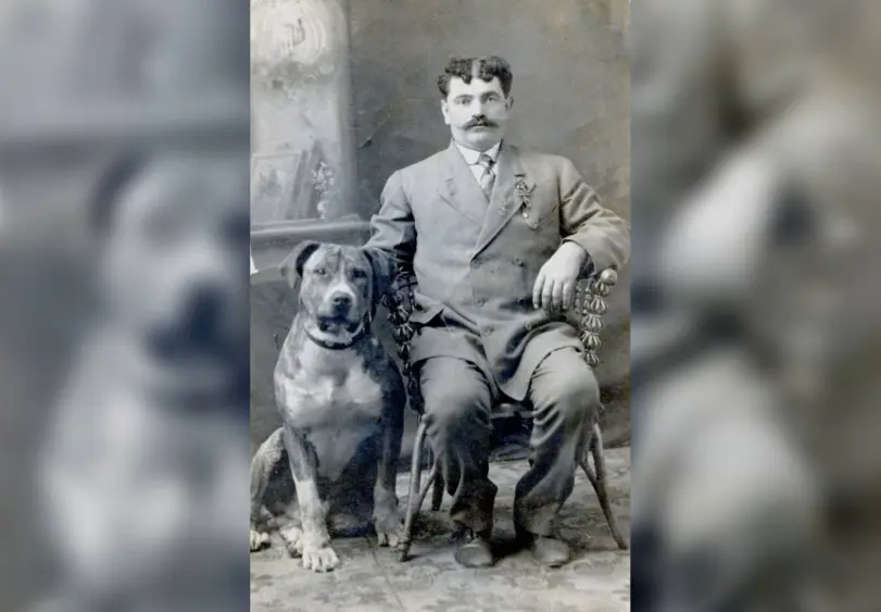 tmv-20260129-mendodogs-03-1440848362