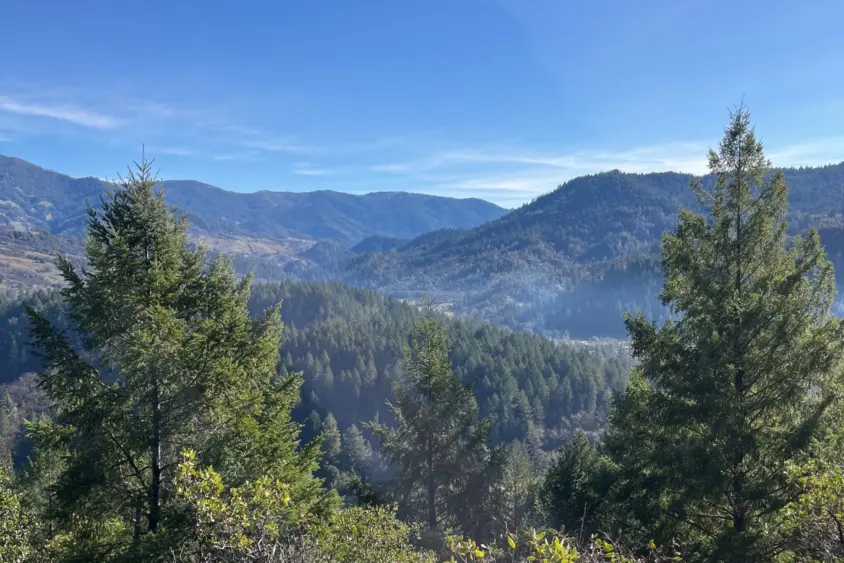 bcn-20260119-windsweptranch-02-scaled19364