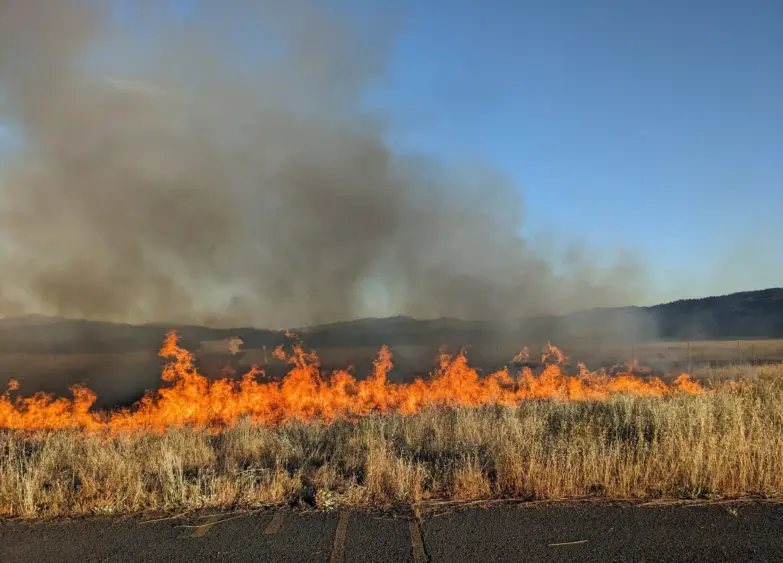 bcn-20250610-roundvalleyburn-02-scaled392773