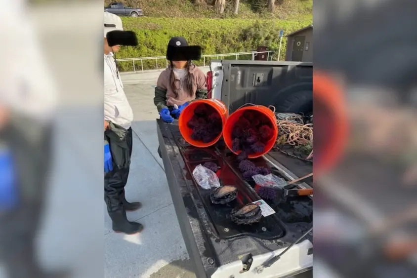 bcn-20260206-coastpoach-01-scaled331852