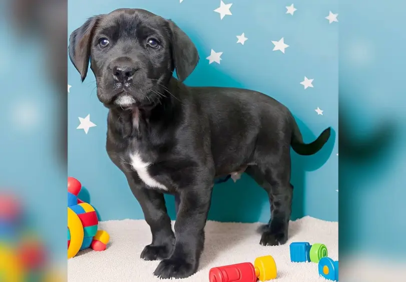 tmv-20260210-johnny244564