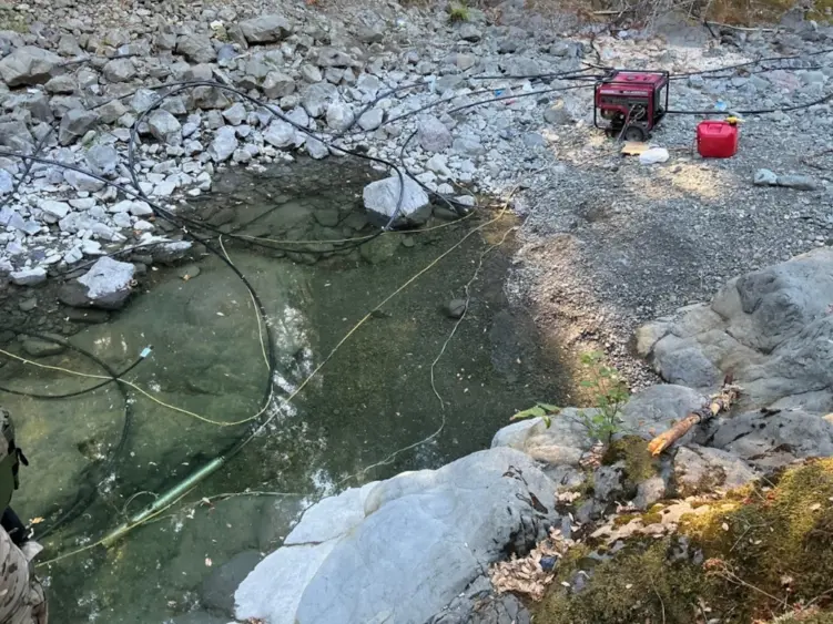 bcn-20260210-cdfwmendo-01-scaled941419