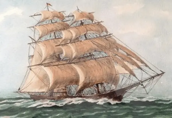 tmv-20260212-frolic637577