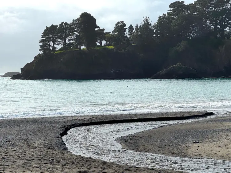 bcn-20260215-vandamme-01-jpg-scaled28799