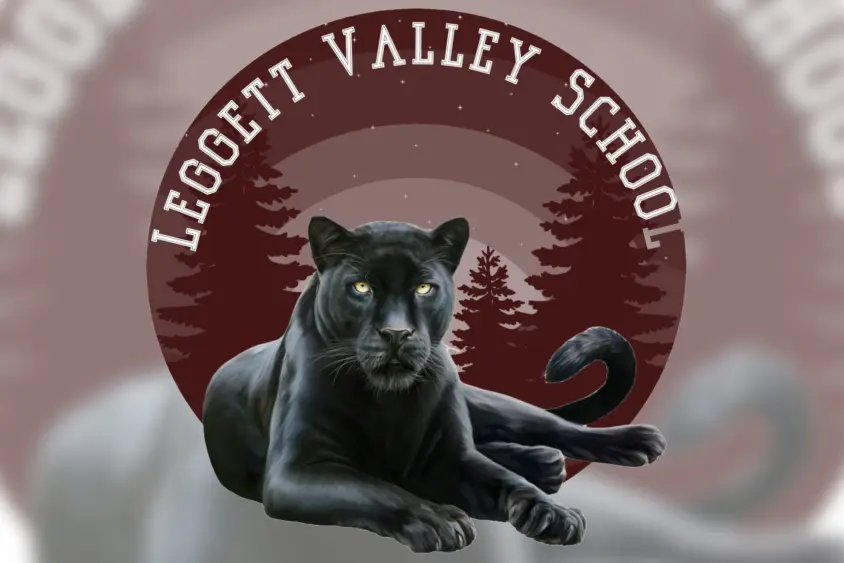 bcn-20260217-lvslogo-01-scaled109377