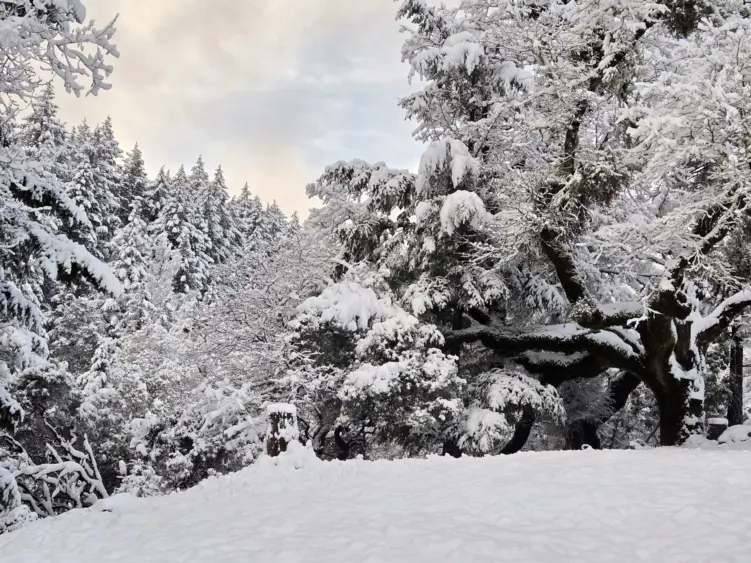 bcn-20260218-brooktrailshawk-01-scaled353597