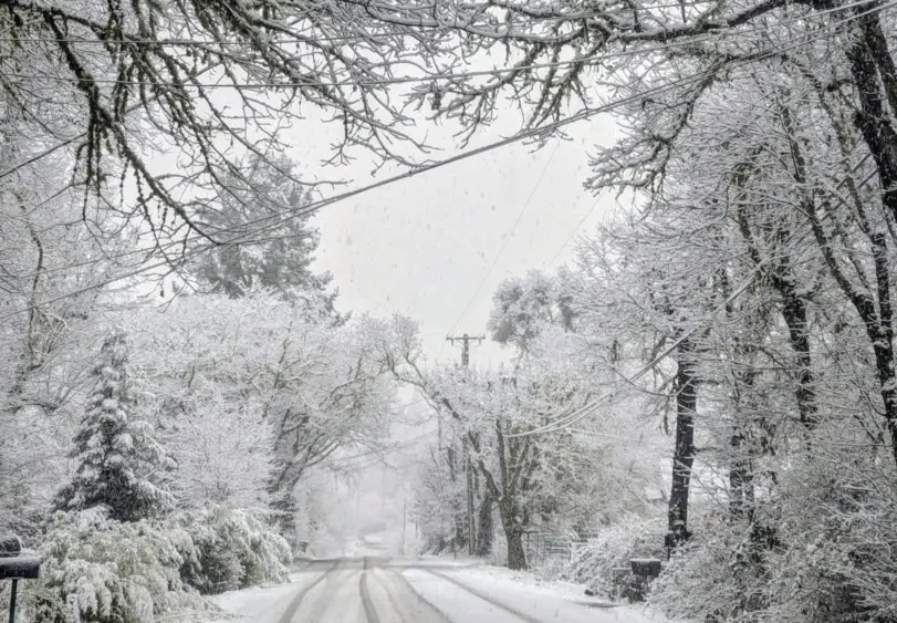 bcn-20260218-willitssnow-06-scaled-1965115