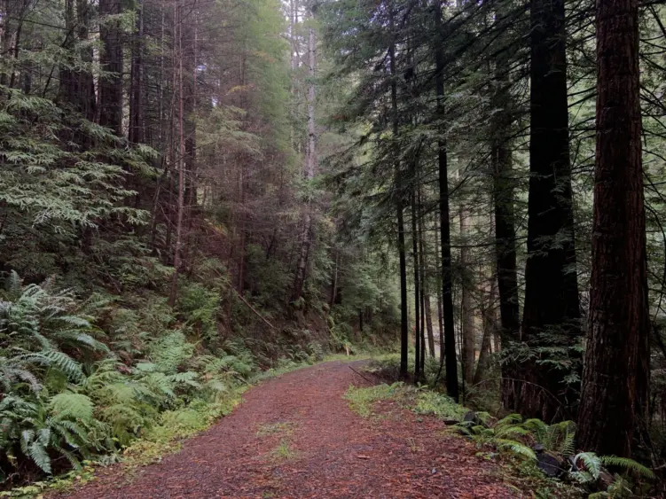 bcn-20221112-jdsf-01-scaled258877