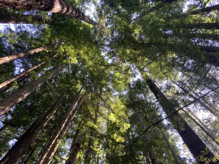 img_7631-2-scaled110875