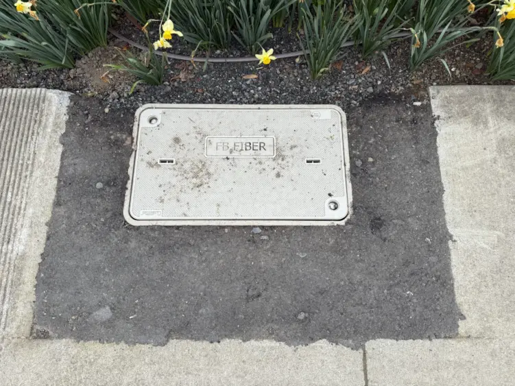 bcn-20260304-coldpatch-02-scaled20248