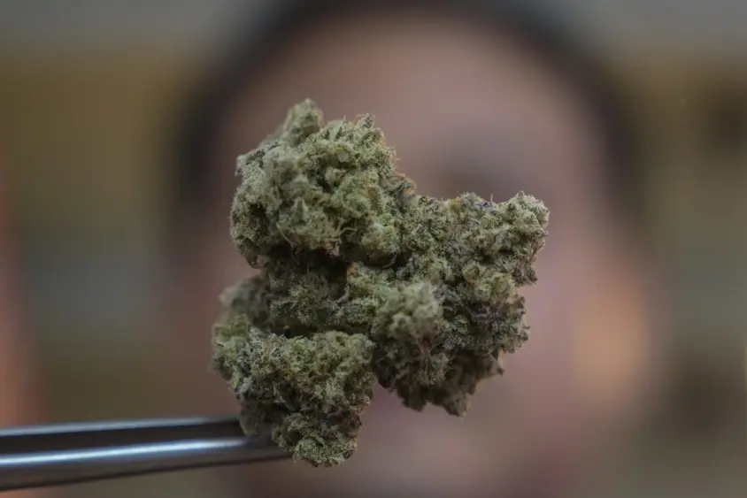 ap24044119826324-scaled423391