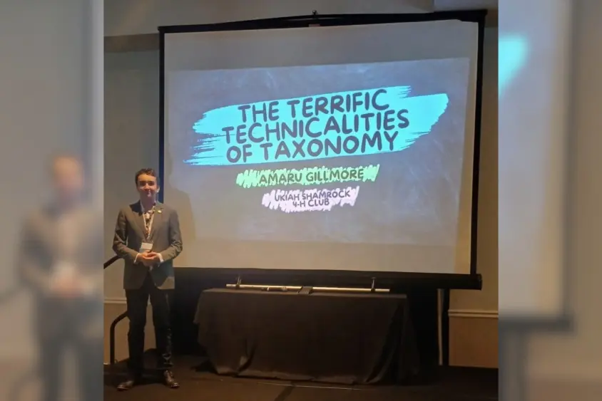 bcn-20260308-4hpresentation-01-scaled737241