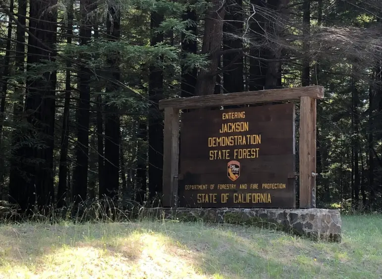 bcn-20180826-jdsfsign-01-scaled244445