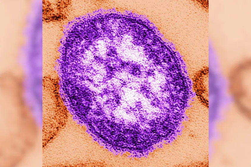 ap25058597482770-scaled921098