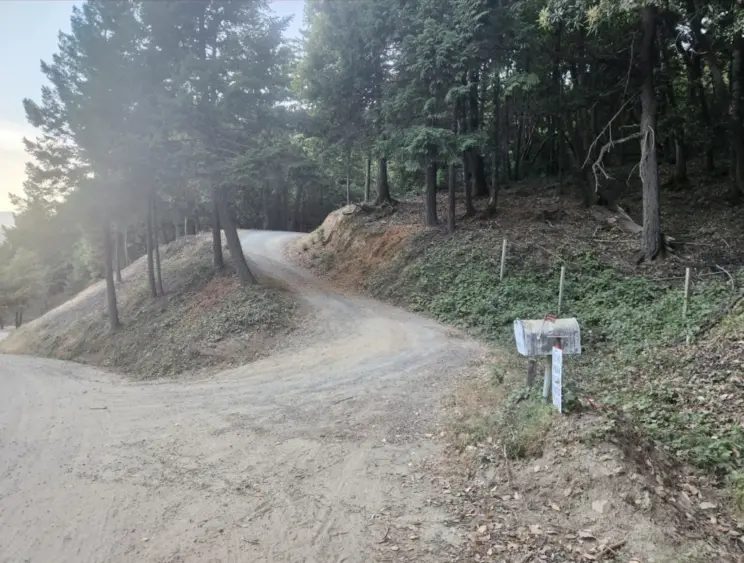 bcn-20250808-bellsprings-04-edited-scaled621716