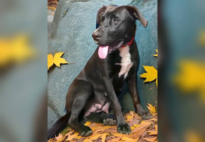 tmv-20260407-nora102300