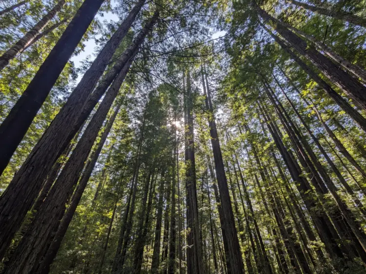 bcn-20240717-jdsf-05-scaled392926