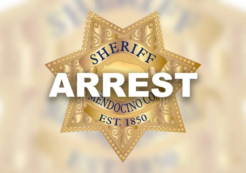 bcn-20240628-mendsoarrest-logo-01535965