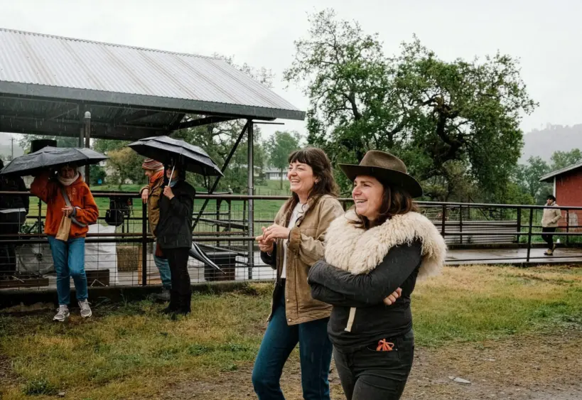 bcn-20260410-flock-03346128