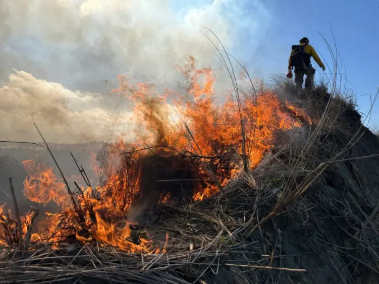 bcn-20260501-prescribedburn-01-scaled515381
