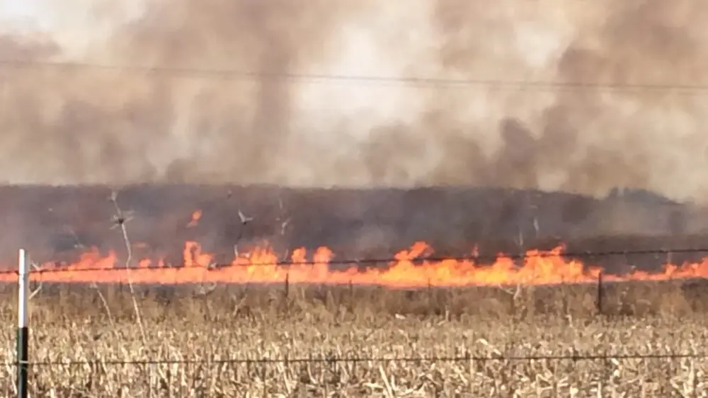 controlled-burn-jpg