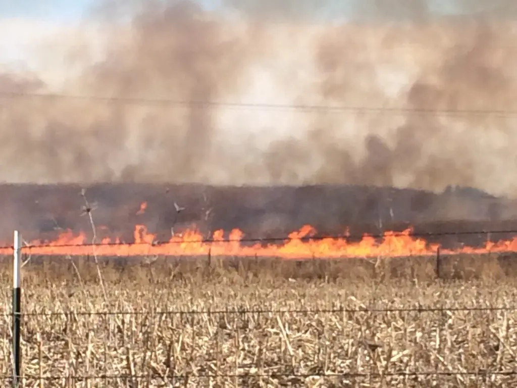 controlled-burn-jpg