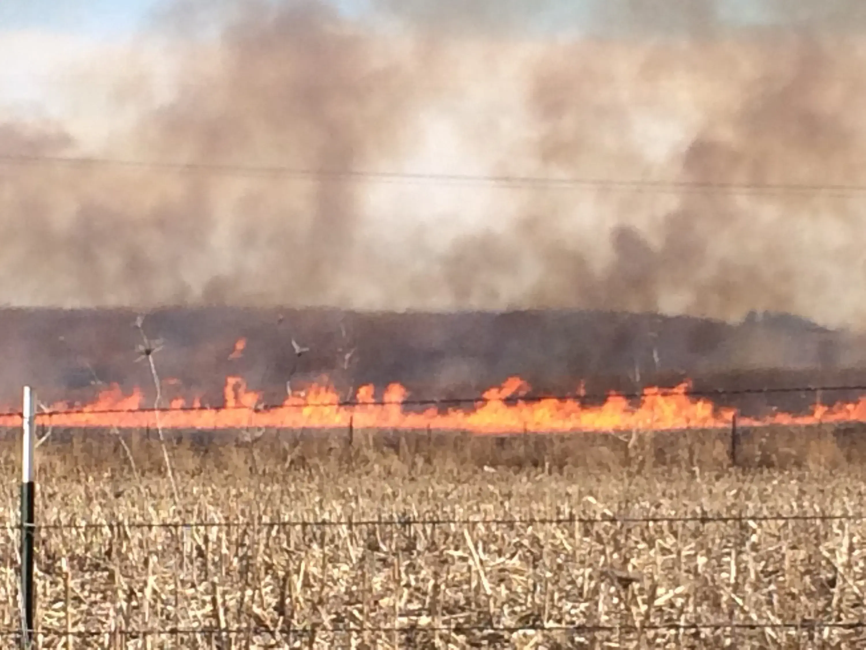 controlled-burn-jpg