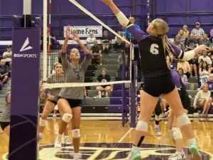 dixon-volleyball-2025-jpg
