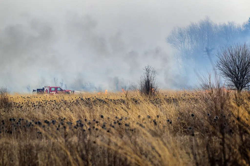 cu3ulpvuznfzzkct3rmhljskei-3